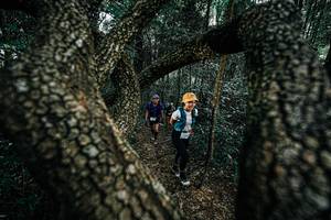 BIB: 
                            <button type="button" onclick="openModal(25392532)" class="btn btn-primary btn-sm float-right btn-popup" data-toggle="modal" data-target=".modal-high-quality">
                        <i class="fas fa-shopping-cart"></i> Add to Cart
                    </button>
                                            <button type="button" onclick="isThisMe(25392532, true)" class="btn btn-success btn-sm float-right btn-popup btn-isme hidden" data-toggle="tooltip" data-placement="bottom" title="นี่คือรูปของคุณใช่ไหม คลิกที่นี่เพื่อเอาเข้าอัลบั้ม">
                        <i class="fas fa-plus"></i> Add to album
                    </button>
                    <button type="button" onclick="isThisMe(25392532, false)" class="btn btn-warning btn-sm float-right btn-popup btn-isnotme hidden">
                        <i class="fas fa-ban"></i> Remove from album
                    </button>